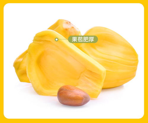 海南熱帶黃肉菠蘿蜜 甜蜜自然的饋贈(zèng)