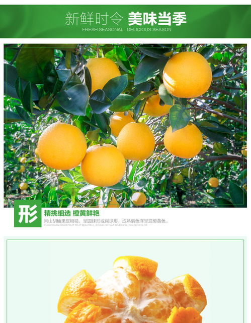 正宗常山胡柚 當(dāng)季鮮果，甜酸盡在舌尖
